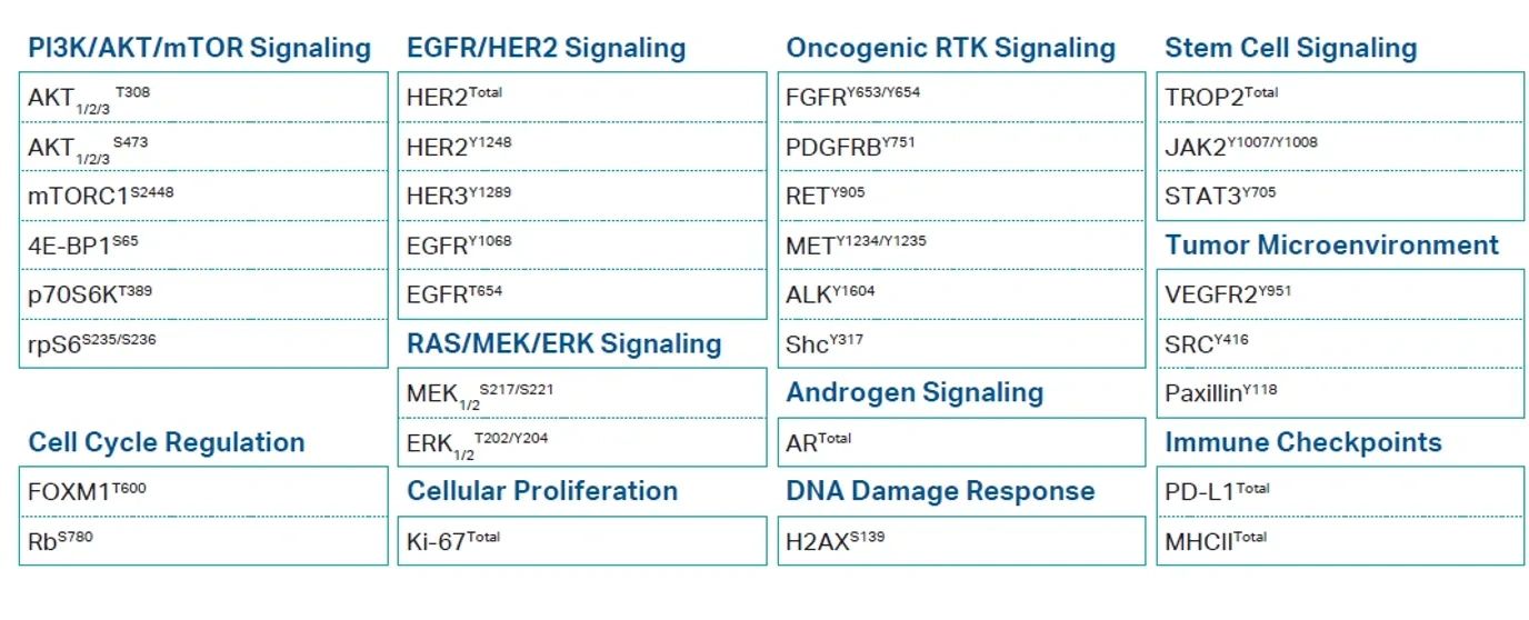 Breast cancer biomarker pathways covered by the assay, grouped by signaling pathway.